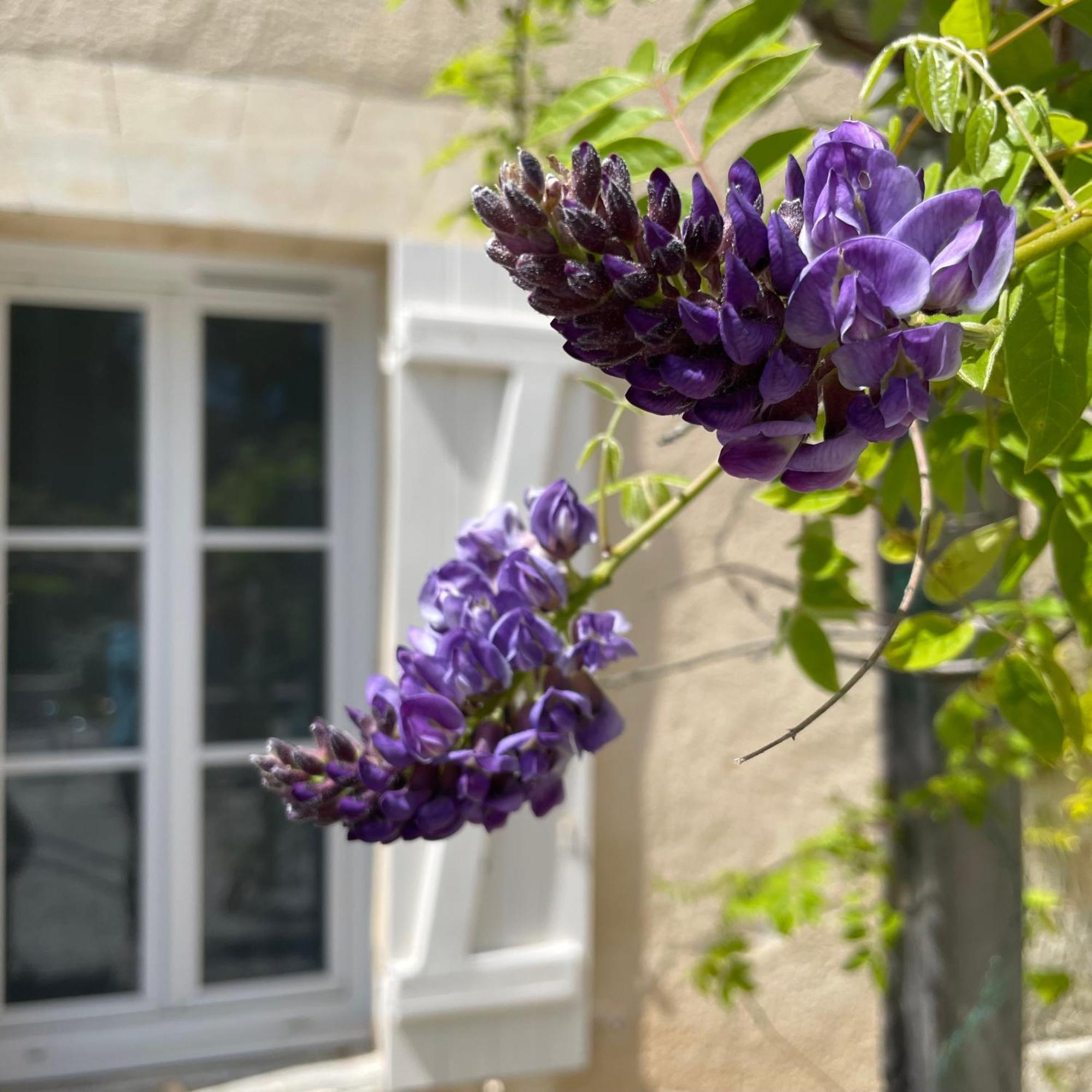 Guest house Domaine De Ludeye Listrac-Medoc