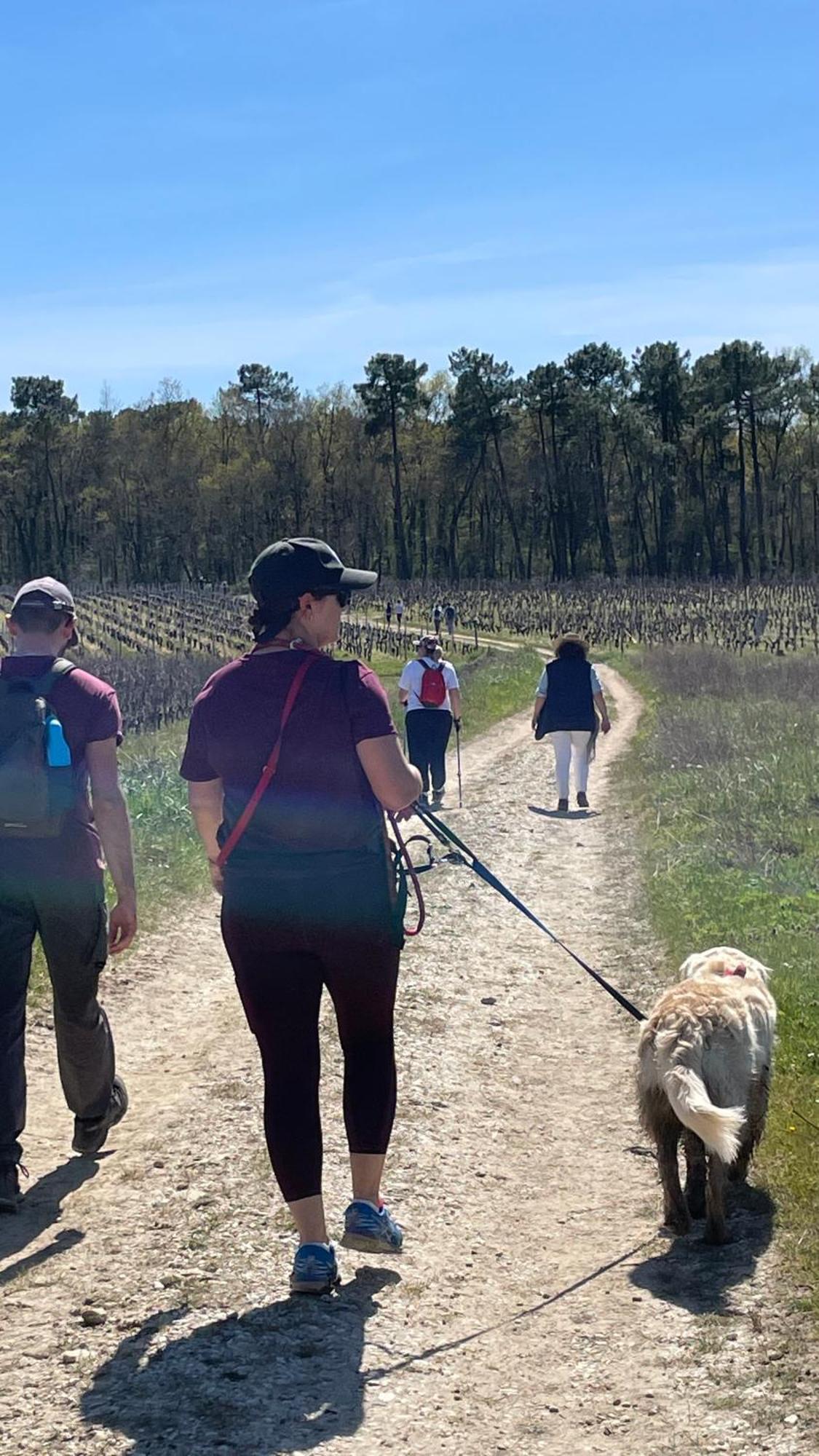 D'hotes Ecolabellisees Du Domaine De Ludeye - Serenite Dans Le Medoc 5*