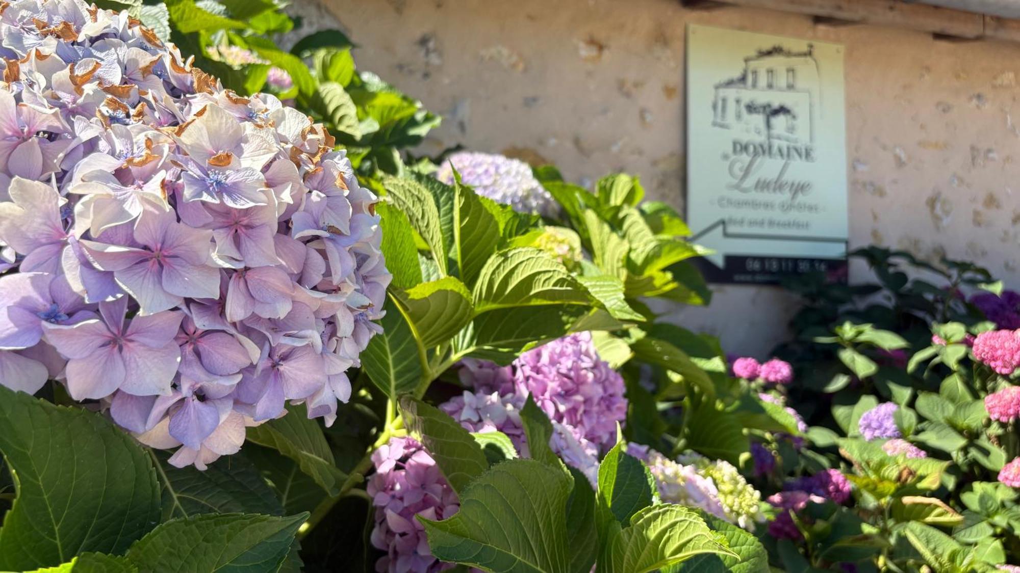 D'hotes Ecolabellisees Du Domaine De Ludeye - Serenite Dans Le Medoc 5* Listrac-Medoc