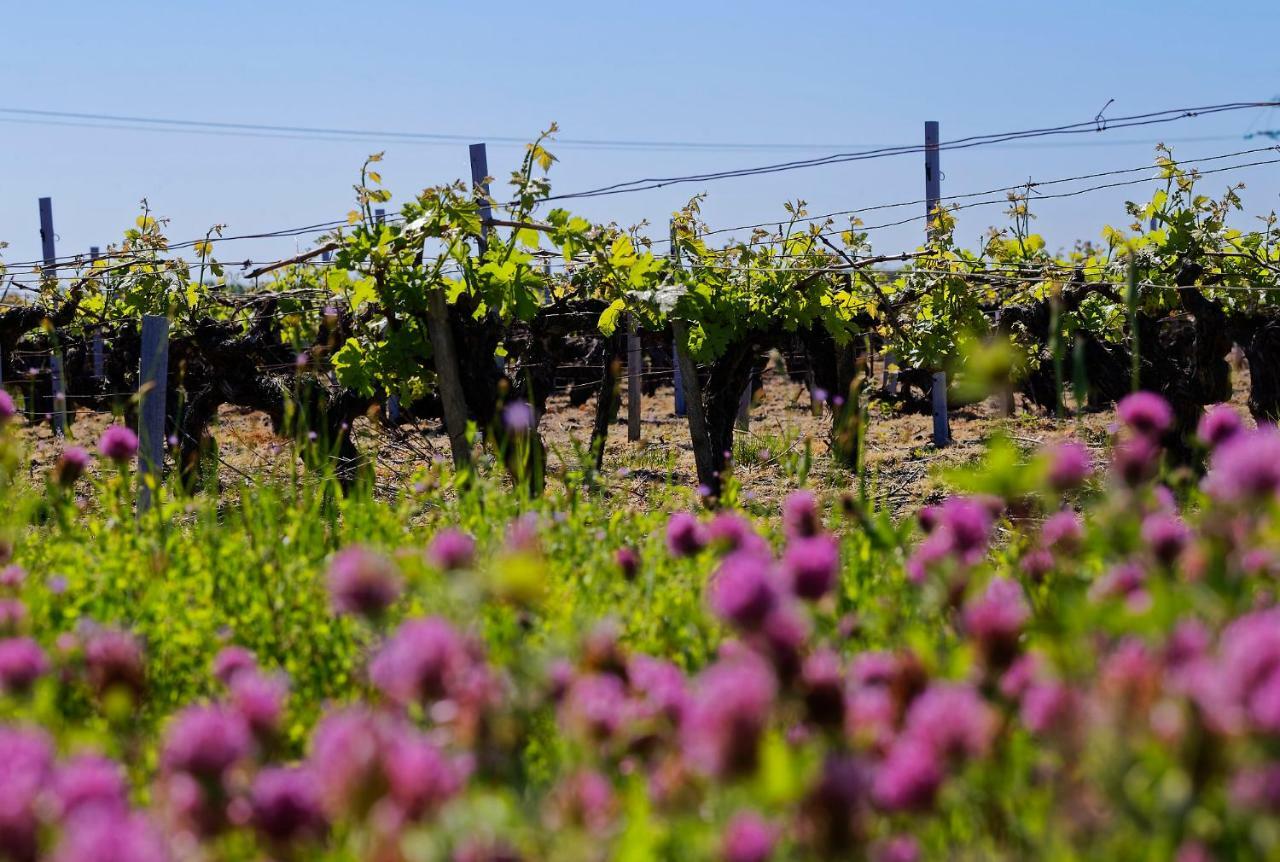 D'hotes Ecolabellisees Du Domaine De Ludeye - Serenite Dans Le Medoc Guest house 5*